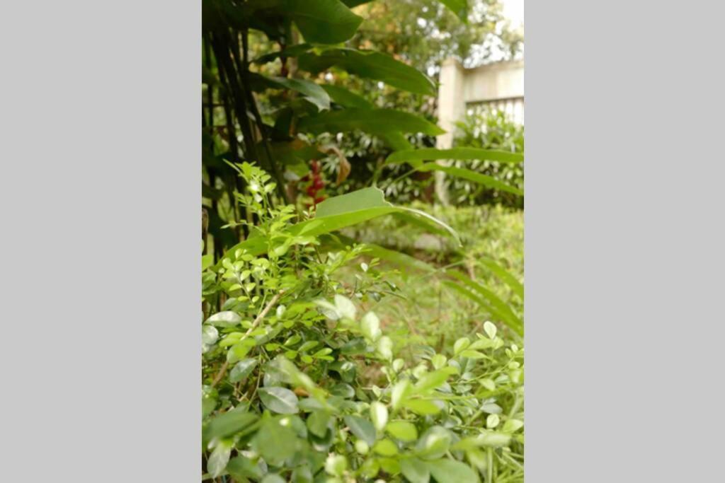 The Pines Vimala Hills Villa Bogor Exterior photo